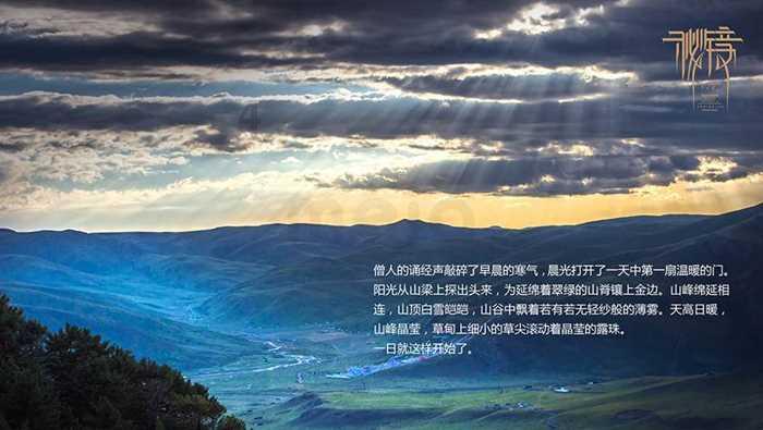 你会跟不爱的人结婚吗?-最全面有趣的红迪网平台